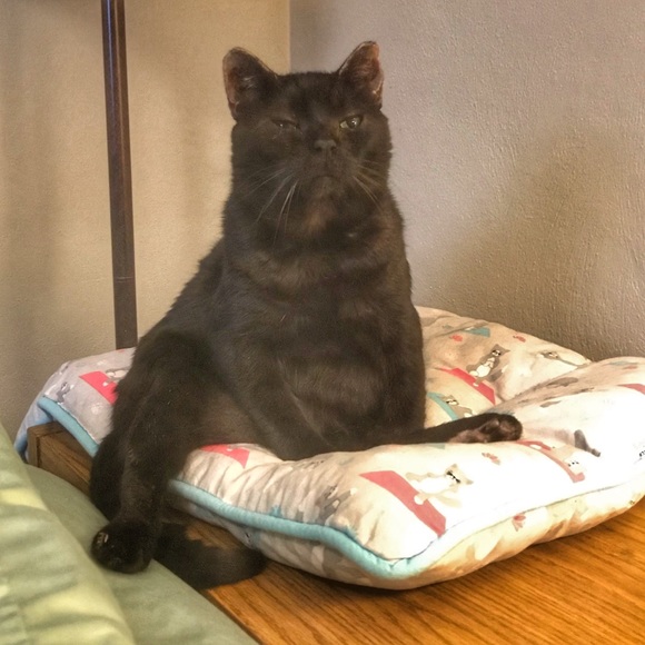 Eli! @RenegadeRevivalVintage & @LightlySaucedRetro - Picture 8 of 12